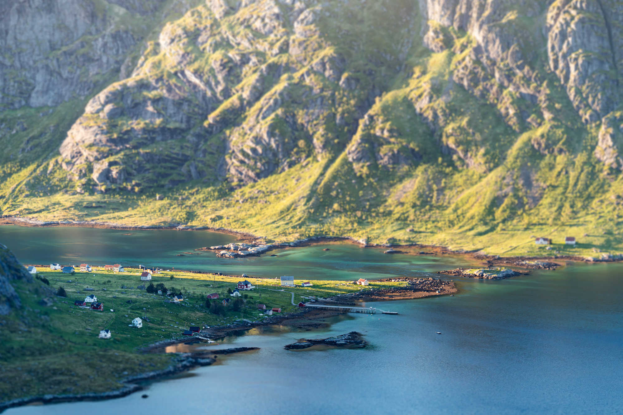 Landscape